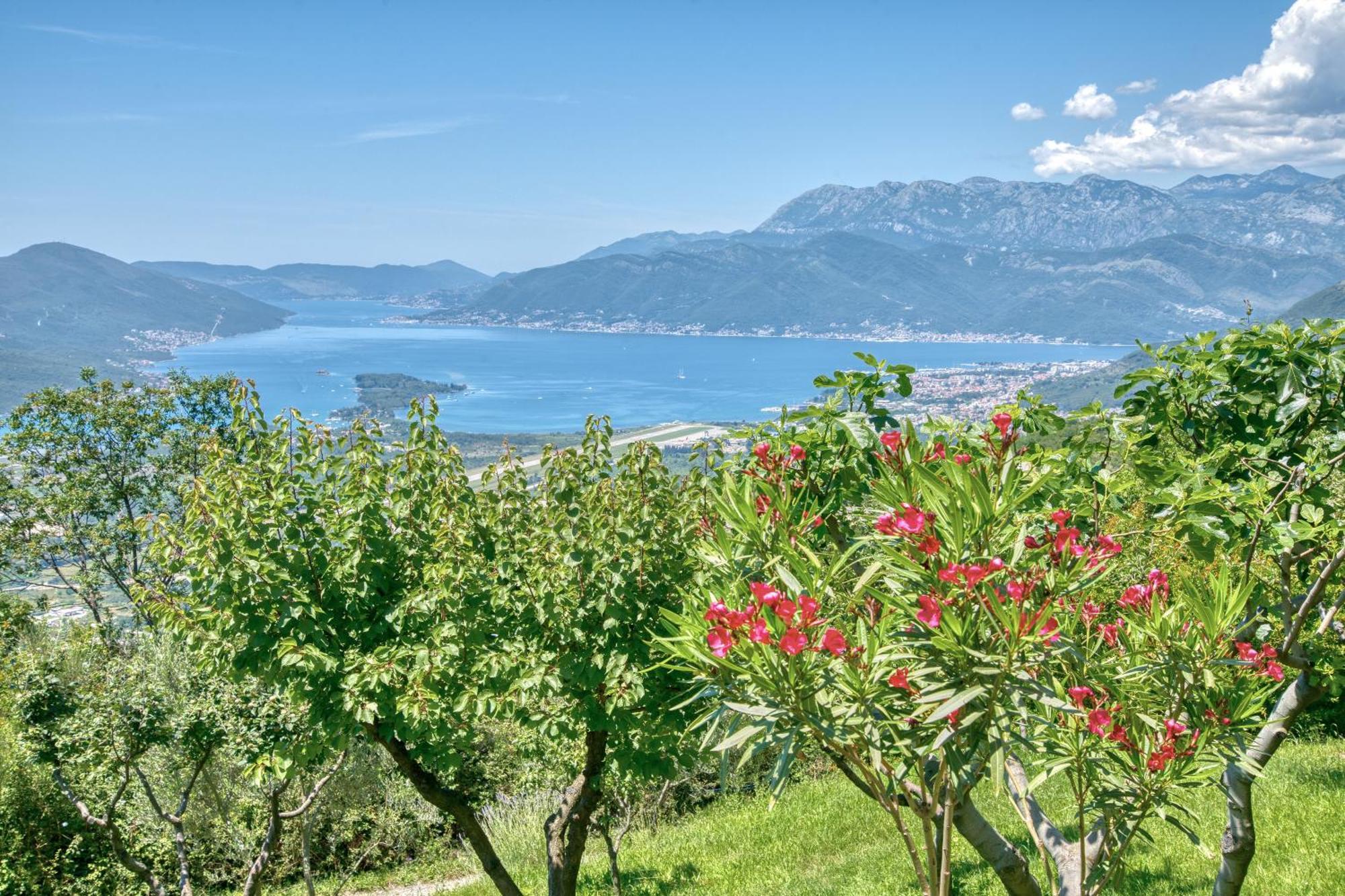 Apartment Paradise Kotor Extérieur photo